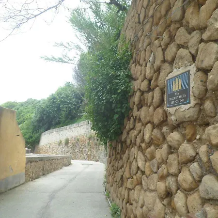 Di Antonia 普罗奇达